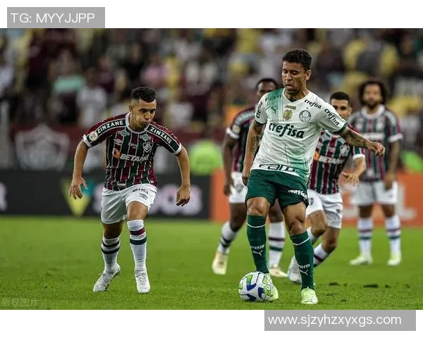 帕梅拉斯与累体育2017年精彩对决回顾与分析