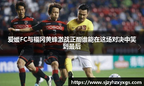 旨在打造专业、互动的体育娱乐体验